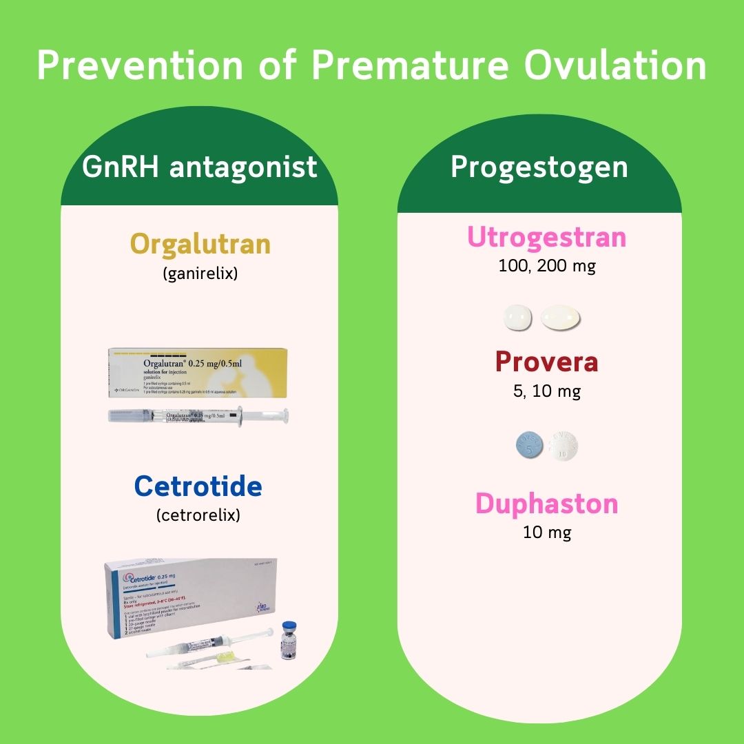ยาป้องกันไข่ตก — GnRH antagonist (Orgalutran, Cetrotide) และ Progestogen (Utrogestran, Provera, Duphaston)