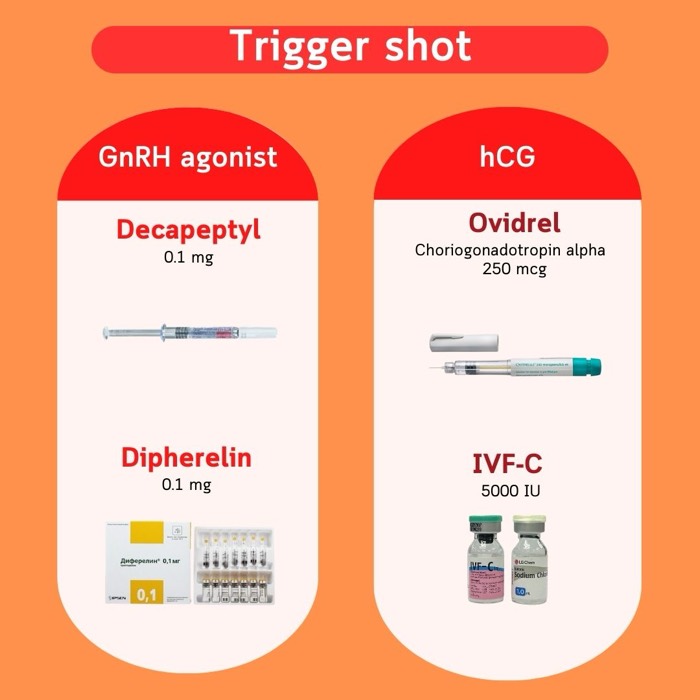 Trigger shots — GnRH agonists (Decapeptyl, Diphereline) และ hCG (Ovidrel, IVF-C)